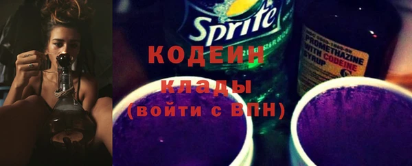 гидра Новодвинск