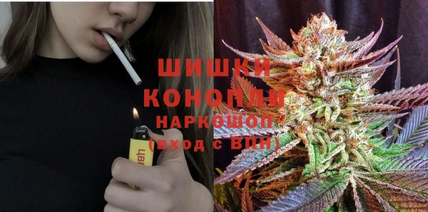 гашик Алзамай