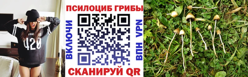 гидра tor  Киренск  Псилоцибиновые грибы мицелий 